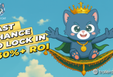 Notcoin Turned Heads: But This Cat’s Meow Is Echoing Through the ROI Alleyways