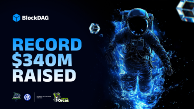 BlockDAG Gains Ground as Halborn and Certik Audits Boost Credibility Over ALGO and HBAR