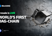 BlockDAG Live Testnet Outpaces Cardano’s Developer Tools