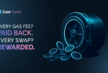 BNB & Toncoin Hold Steady, But Cold Wallet at $0.00942 Rewards Every Move