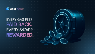 BNB & Toncoin Hold Steady, But Cold Wallet at $0.00942 Rewards Every Move