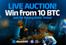 BlockDAG’s 10 BTC Auction Countdown, ARB Price Forecast, & BONK Price Target Update
