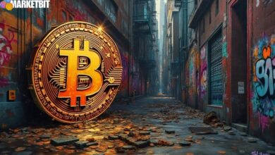 Bitcoin Adoption as a Strategic Tool by CIA