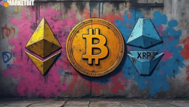 Cryptocurrencies Decline Lacking Comments from Leaders