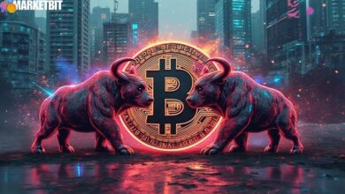 BONK Meme Token and Solana Breakout News
