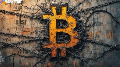 Bitcoin Faces Internal Corporate Treasury Threats