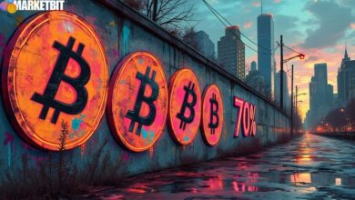 Bitcoin's Potential 70% Drawdown in Next Bear Market: Analysis and Implications