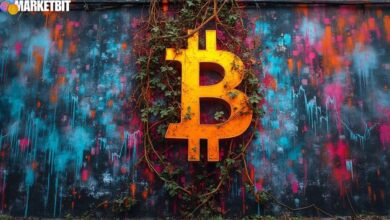 Bitcoin Surges Past $113K Amid Speculation on Fed Rate Cut