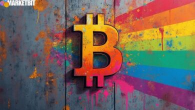 Bitcoin Steady in Rainbow Chart, Long-Term Holders Benefit