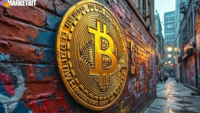 Bitcoin Poised to Surpass Gold as Leading Value Store