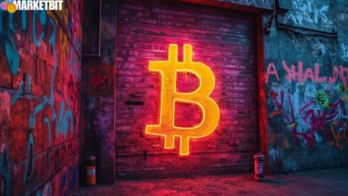 Bitcoin Stability Amid Institutional Inflows