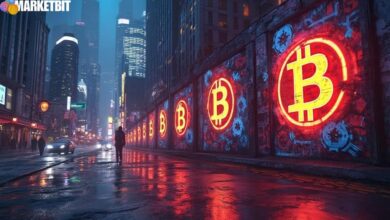 Bitcoin Accumulation by Institutions
