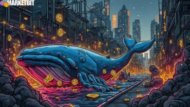 Bitcoin and Ethereum Market Dynamics