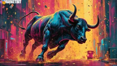 Avantis Gains Bullish Momentum Amid Spot Inflows
