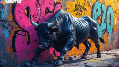 Chainlink Sets Sights on $30 After Overcoming Resistance