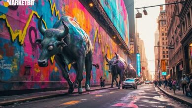 Analyst Flags SEI as Strong Buy Opportunity