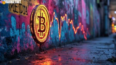 Cryptocurrency SomETHing Price Increase