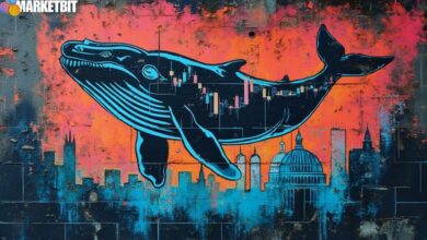 Ethereum Whale Dynamics and Market Opportunities