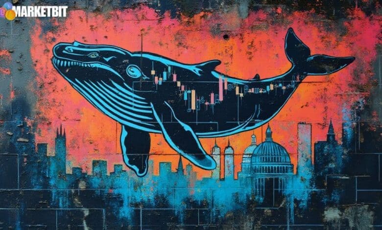Ethereum Whale Dynamics and Market Opportunities