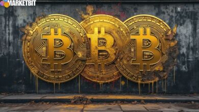 Gold Protected Bitcoin Fund Launch