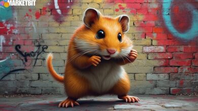 Hamster Kombat Event Lacks Leadership Updates