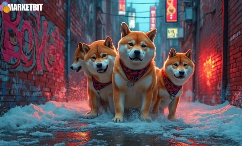 Shiba Inu Freezes 4.6M BONE Tokens Post-Attack
