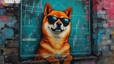 Shiba Inu Price Analysis Reveals Potential Breakout