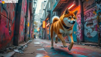 Shiba Inu Network Breach and Its Impact on Financial Markets