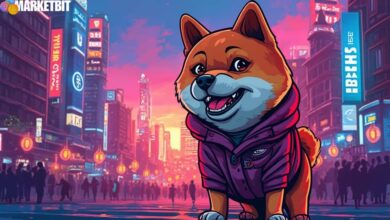ShibaSwap Launches Multi-Chain Upgrade for Enhanced Liquidity
