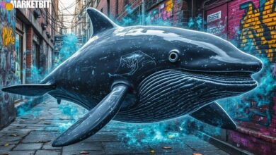 TRON: Stability Amid $1.4 Billion Whale Cash-Out