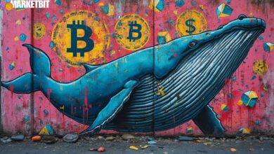 Cardano Whales Accumulate 20M ADA Amid Price Dip