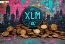 Stellar (XLM) Price Influenced by Retail Demand and Stablecoins