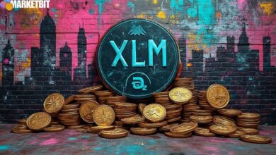 Stellar (XLM) Price Influenced by Retail Demand and Stablecoins