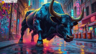 XRP Bullish Signal Suggests New Price Highs