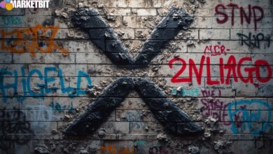 XRP Decline Impacts Altcoin Market
