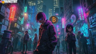 Anime NFTs Used in $28M Bittensor Hack Scheme