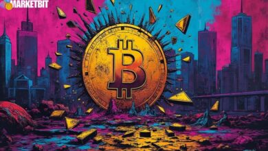 Bitcoin Flash Crash Analysis