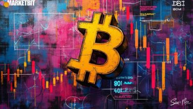 Bitcoin Spot ETFs Obtain $675 Million in Inflows
