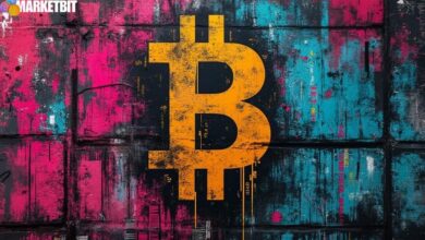 Bitcoin Risk Appetite Surges After US CPI Results