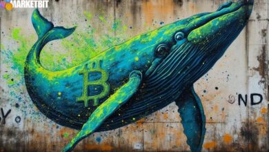 Bitcoin Whale Opens 40x Long Position, Eyes $120K Level