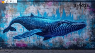 Chainlink Whale Accumulation Signals Potential Recovery