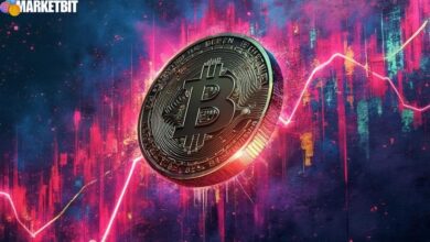 BNB Hits Record High Amid Ecosystem Expansion