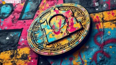 Binance's Market Activity and BNB Growth