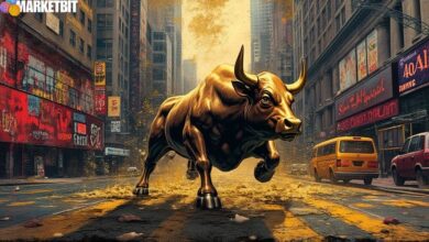 S&P 500 Achieves New High Post-US Government Shutdown