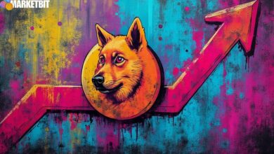 Dogecoin Rises 3% as Traders Eye $0.30 Mark