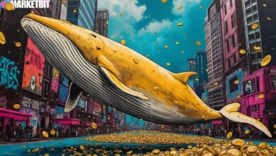 Dogecoin Whale Moves $2.9M, Sparks Market Anticipation