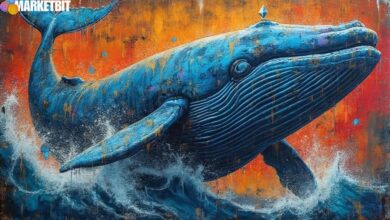 Ethereum Whales Accumulate $480M Amid Market Volatility