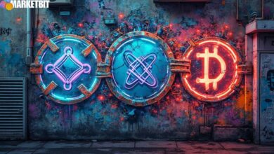 Plasma Partners with Chainlink for Stablecoin Integration
