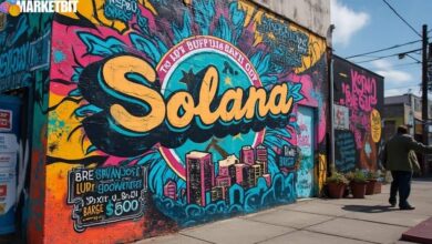 Solana Company Expands SOL Holdings, Eyes Potential $600 Surge