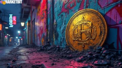 Pump.fun's Meme Coin Faces Potential Volatility Risks
